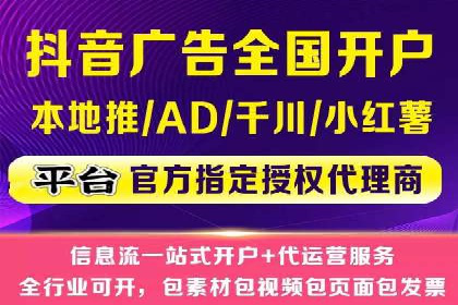 百度竞价广告的投放策略与成功案例分析